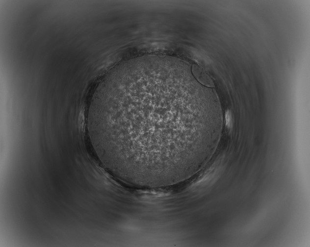 X0000088231203200705221817