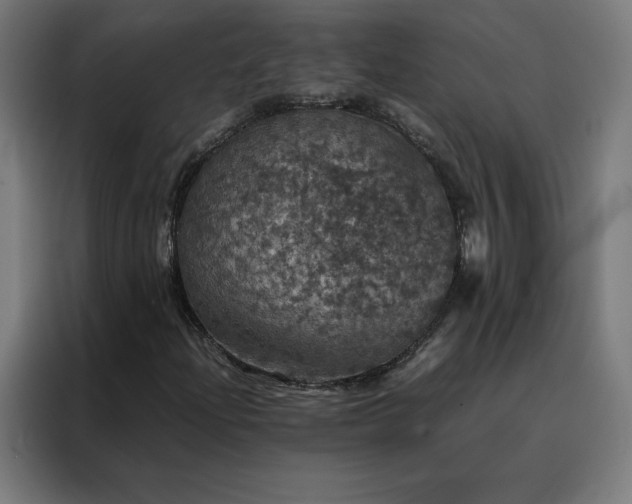 X0000088231204200705221817