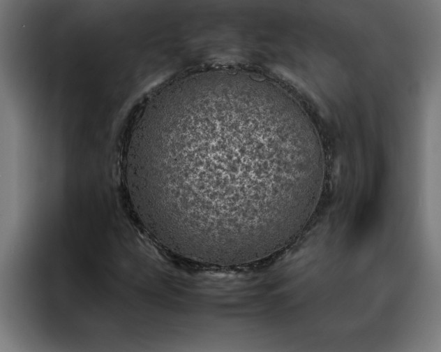 X0000088231207200705221817