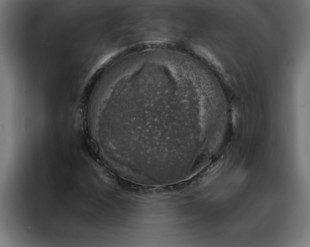 X0000088231208200705221817