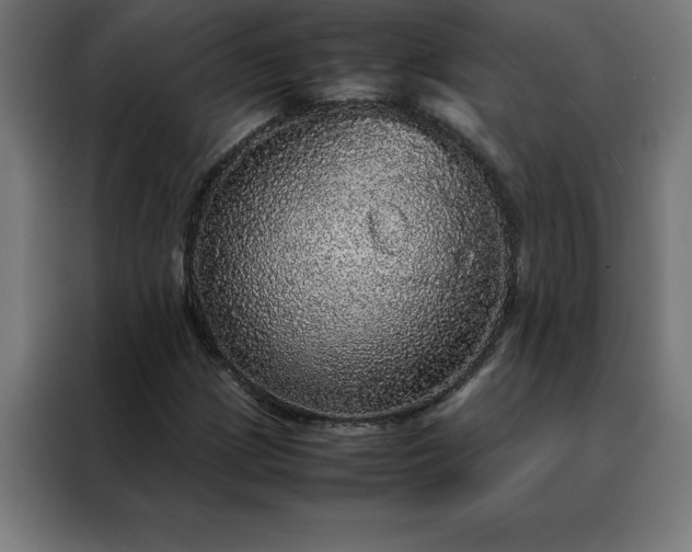 X0000088231209200705221817