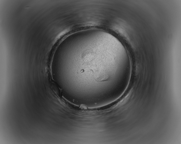 X0000088231210200705221817