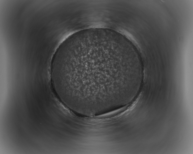 X0000088231212200705221817