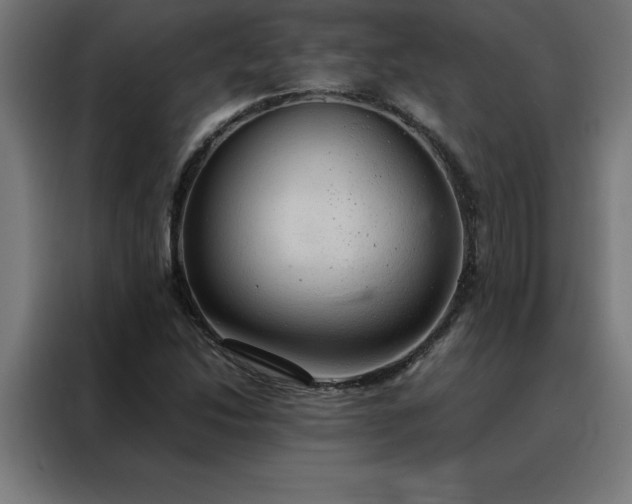 X0000088231214200705221817