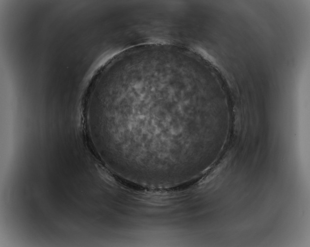 X0000088231215200705221817