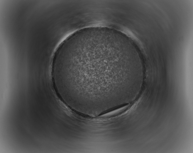 X0000088231216200705221817