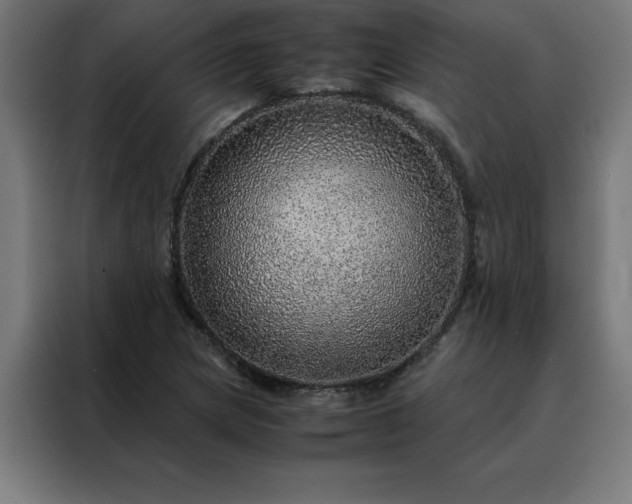 X0000088231217200705221817