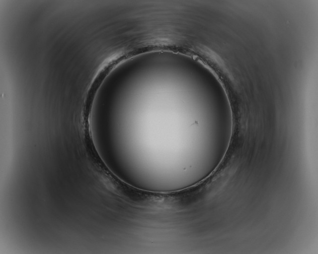 X0000088231218200705221817