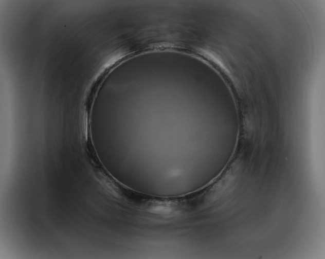 X0000088231219200705221817