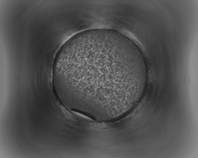 X0000088231220200705221817