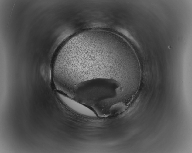 X0000088231221200705221817