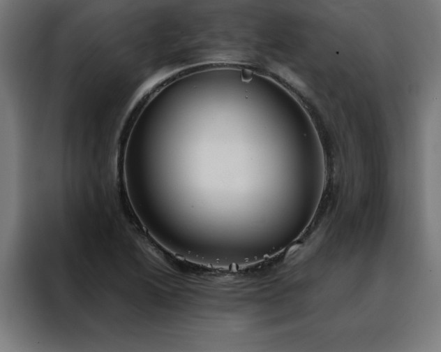 X0000088231222200705221817