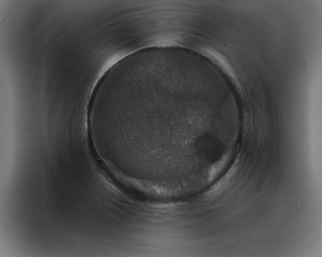 X0000088231226200705221817