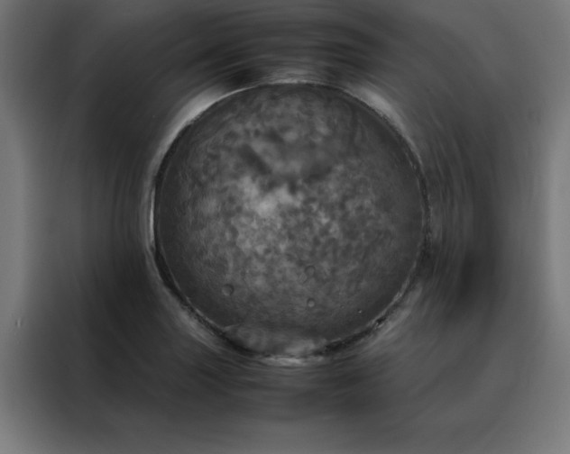 X0000088231227200705221817
