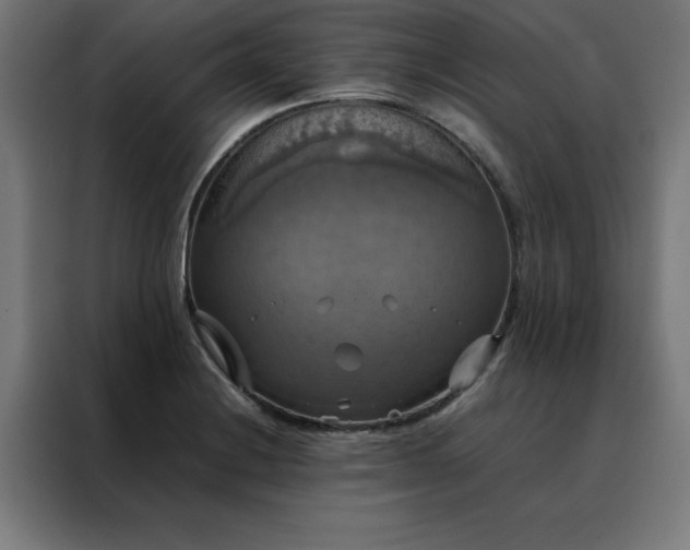 X0000088231228200705221817