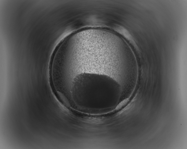X0000088231229200705221817