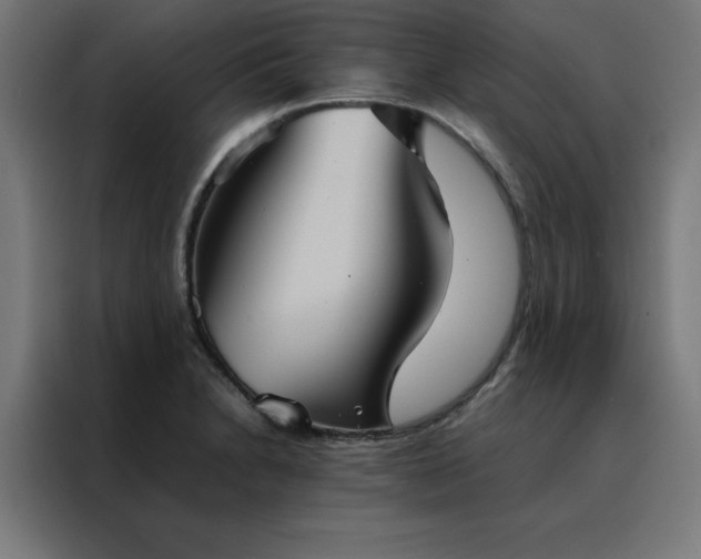 X0000088231230200705221817