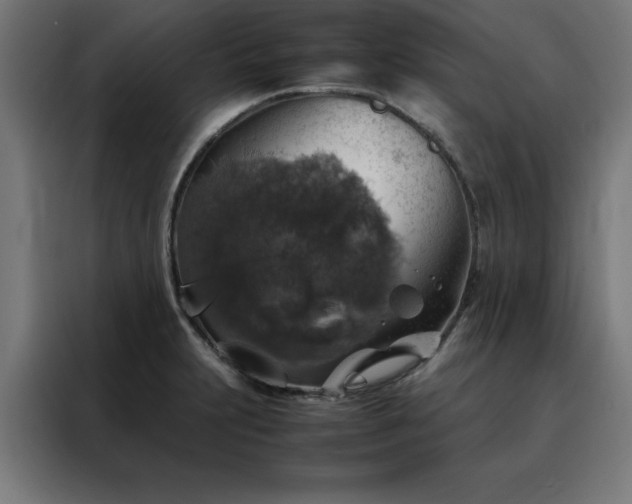 X0000088231231200705221818