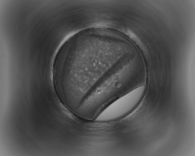 X0000088231232200705221818