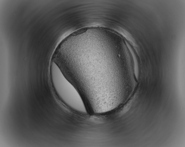X0000088231234200705221818