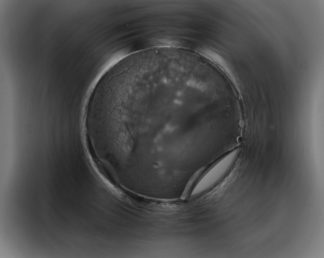 X0000088231235200705221818