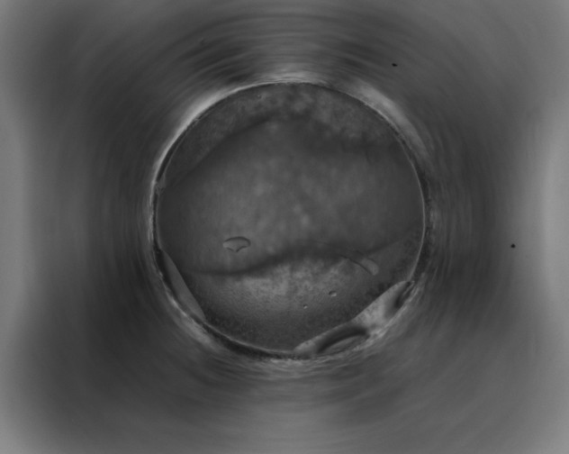 X0000088231236200705221818
