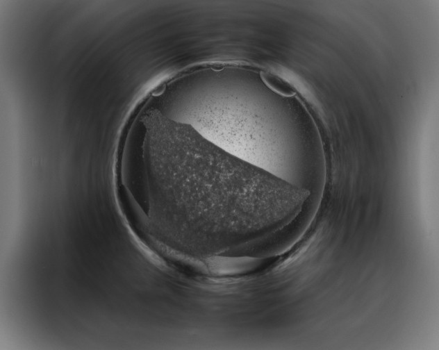X0000088231237200705221818