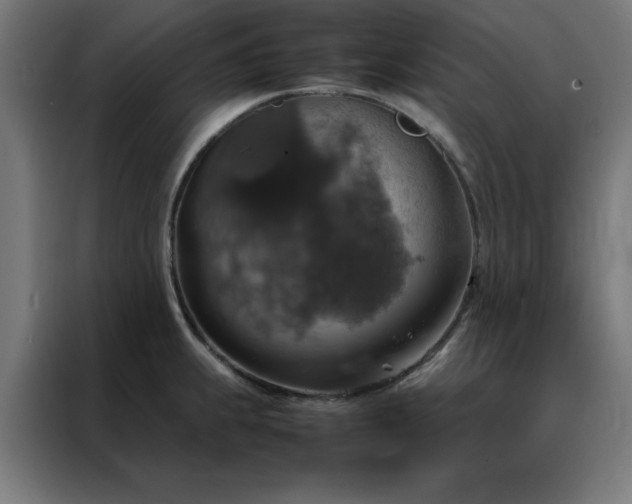 X0000088231239200705221818