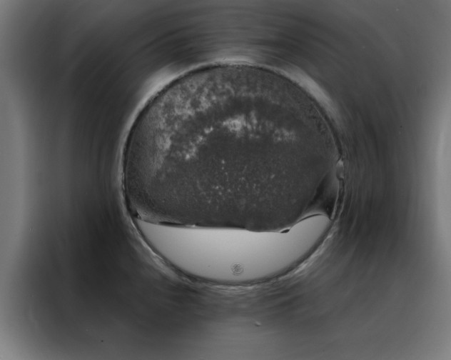 X0000088231240200705221818