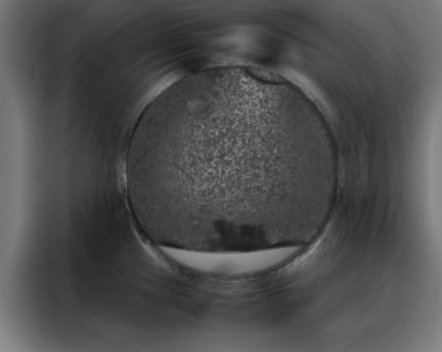 X0000088231241200705221818