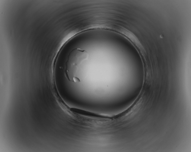 X0000088231242200705221818