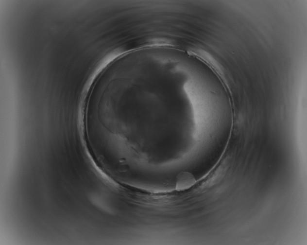 X0000088231243200705221818