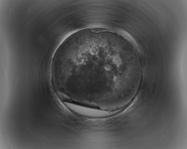 X0000088231244200705221818