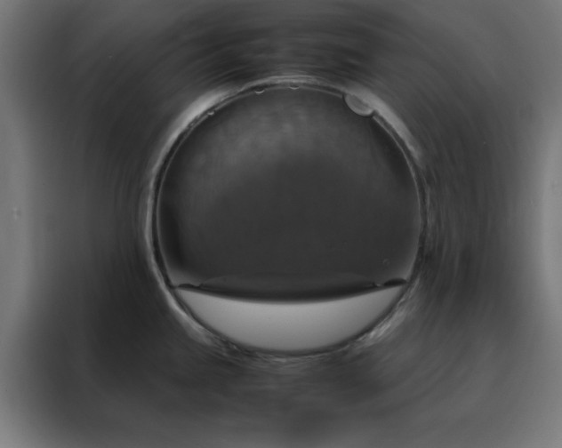 X0000088231245200705221818