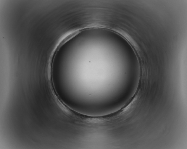 X0000088231246200705221818
