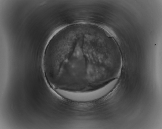 X0000088231247200705221818