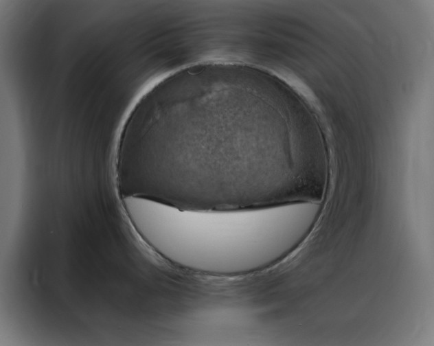 X0000088231248200705221818