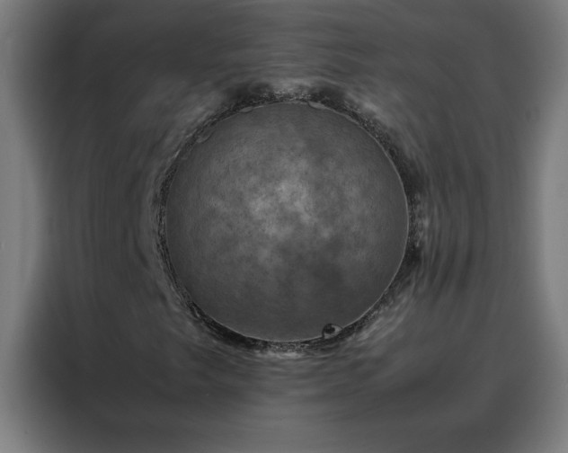 X0000088231249200705221817