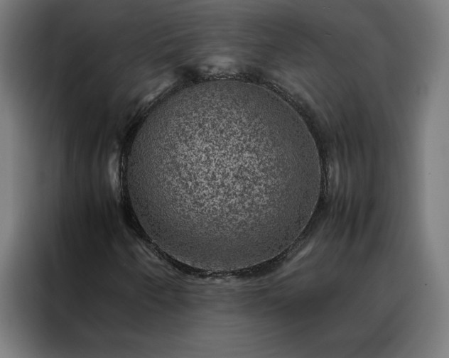 X0000088231250200705221817