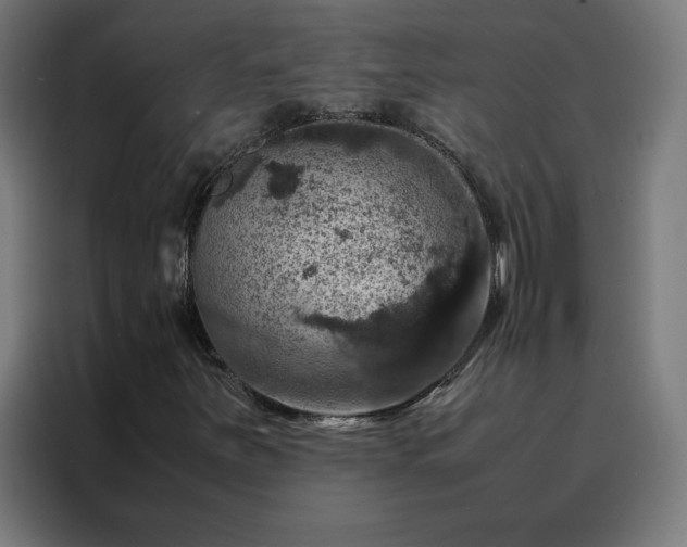 X0000088231251200705221817