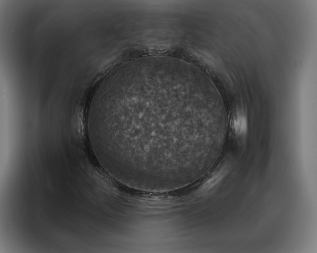 X0000088231252200705221817