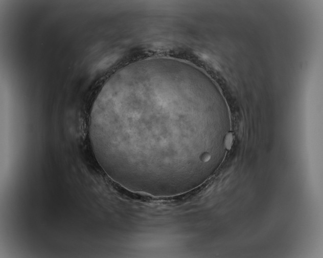 X0000088231253200705221817