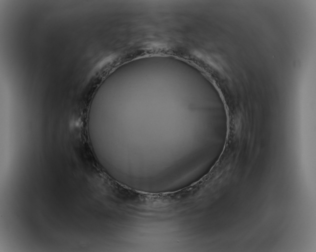 X0000088231254200705221817