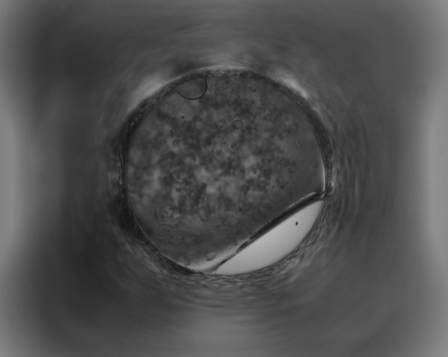 X0000088231255200705221817