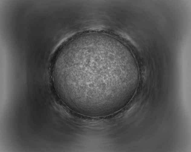 X0000088231256200705221817