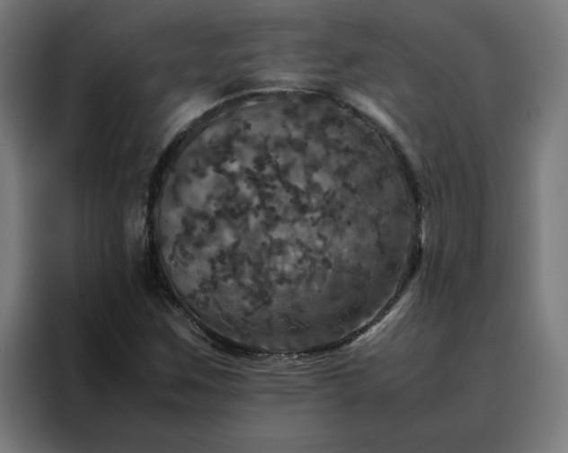 X0000088231259200705221817