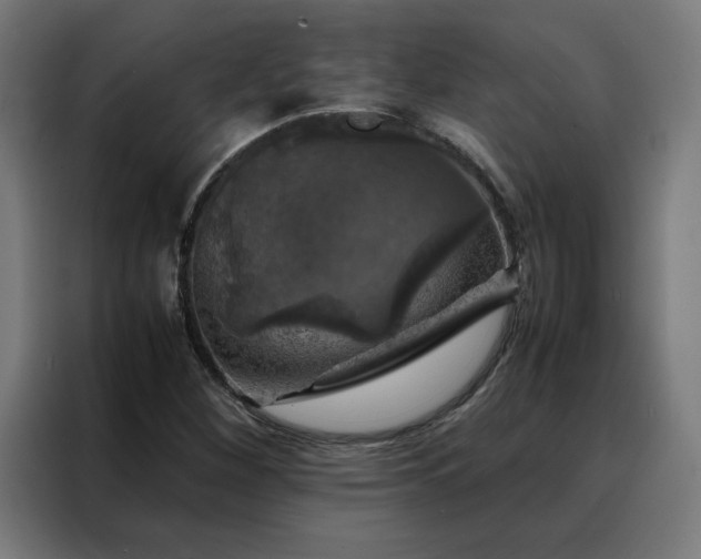 X0000088231260200705221817