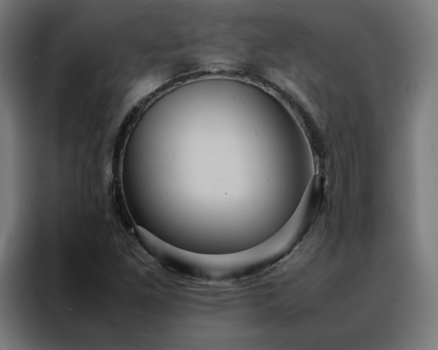 X0000088231261200705221817