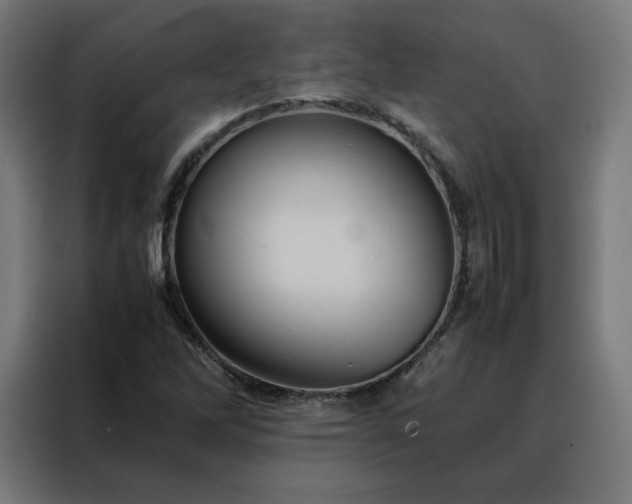 X0000088231262200705221817