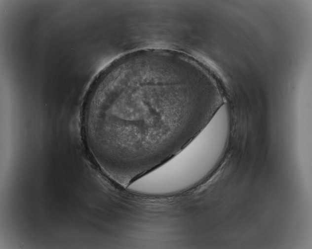X0000088231264200705221817